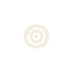 vision